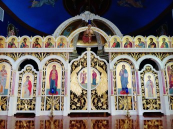 035 Icon Screen - in natural light