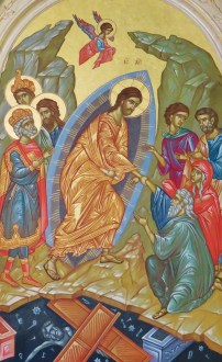 IMG_1989 (2) (626x1024)